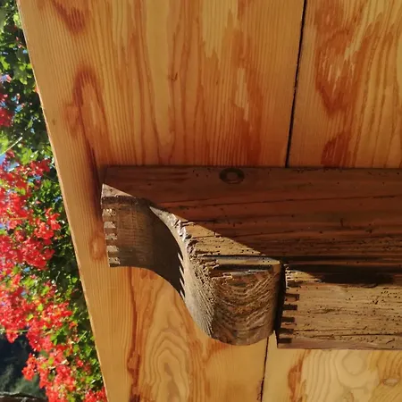 Riverside Rooms Emma For Young And Wild Spirits